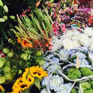 Meet your Posher, Annie